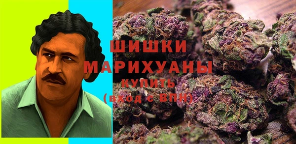 спайс Алзамай