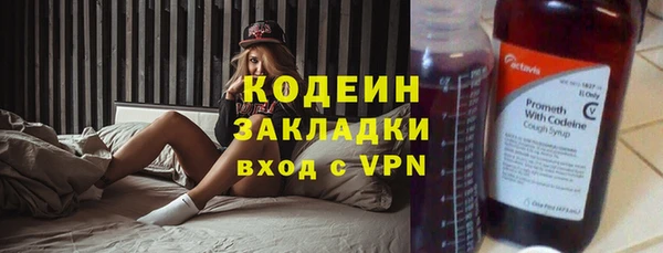 мет Алексин