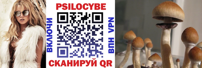 Галлюциногенные грибы прущие грибы  где продают наркотики  KRAKEN маркетплейс  Бабаево 
